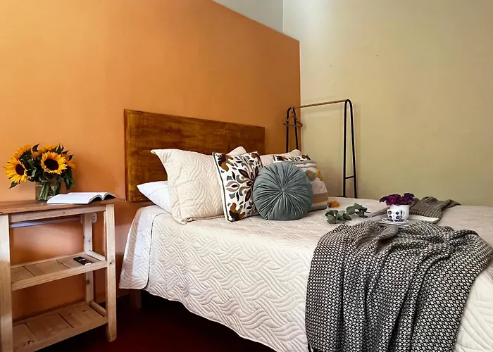 Casa Paqocha - & Garden - Hot Water & Shared Kitchen - Long - Close To Train Ollantaytambo